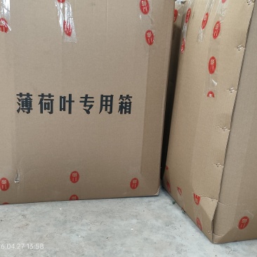 薄荷尖出售