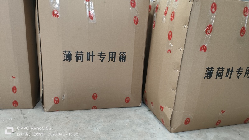 薄荷尖出售