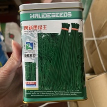 奥新墨绿王长豆角种子抗病深绿色品种种子