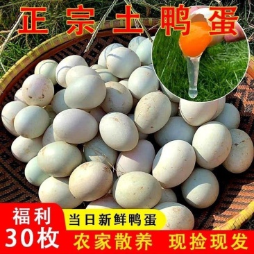 大个生鸭蛋土鸭蛋正宗鸭蛋新鲜农家散养鸭蛋现捡现发破损包赔