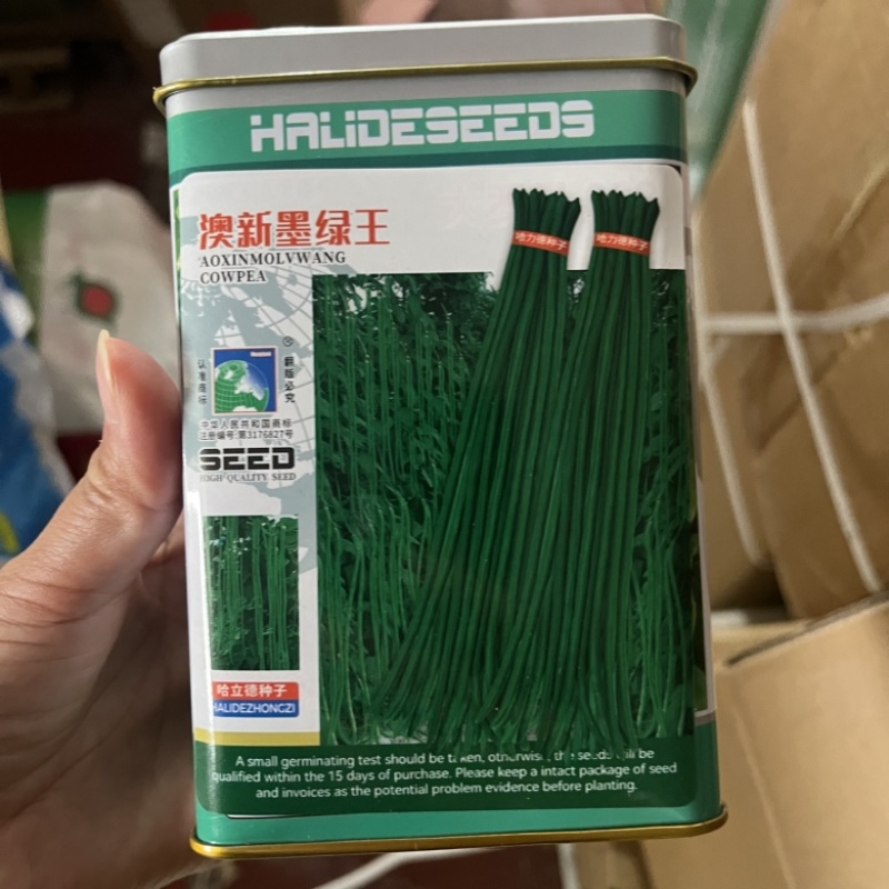 奥新墨绿王长豆角种子抗病深绿色品种种子