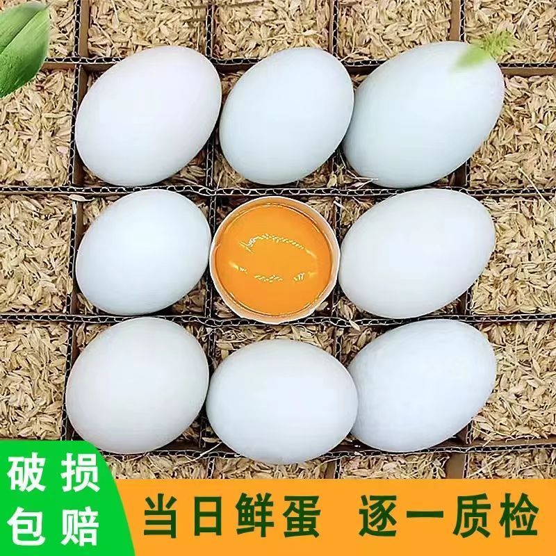 个大生鲜鸭蛋土鸭蛋新鲜农家散养五谷喂养鸭蛋鸭河边现发