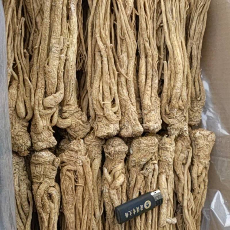 精品水洗有硫黄当归批发诚信经营一手货源全国发货