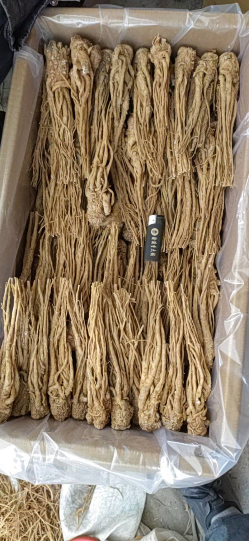 精品水洗有硫黄当归批发诚信经营一手货源全国发货