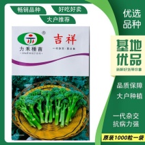 【力禾种苗】吉祥西兰苔种子西兰花芦笋青花菜芥兰基地优选蔬