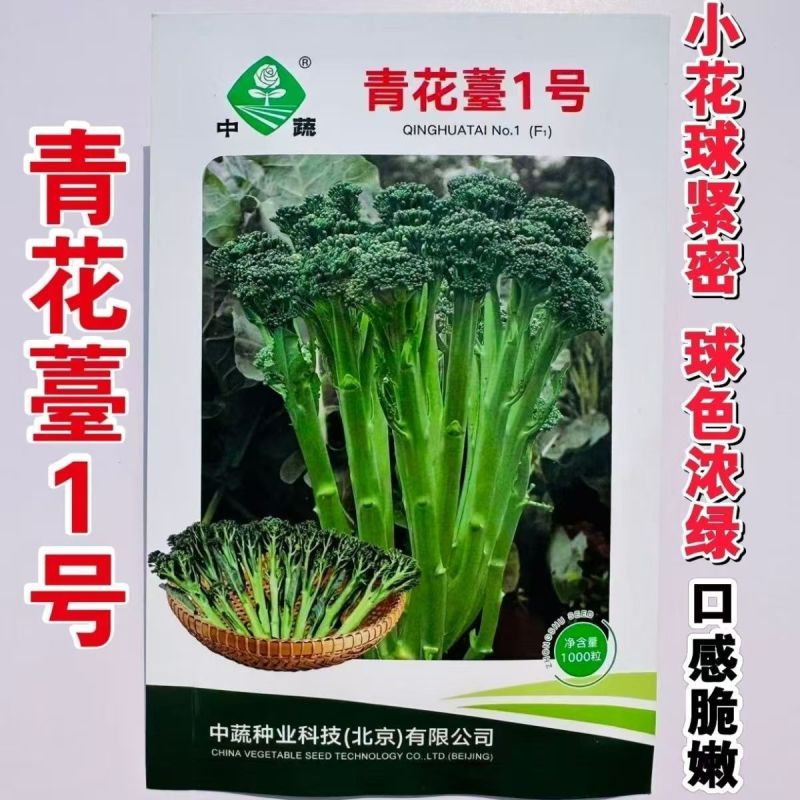 【力禾种苗】吉祥西兰苔种子西兰花芦笋青花菜芥兰基地优选蔬