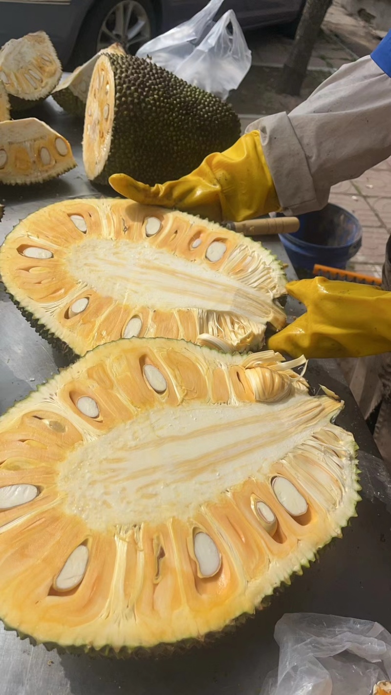 海南红肉泰八菠萝蜜可分大小规格质量三包服务我们是认真做果