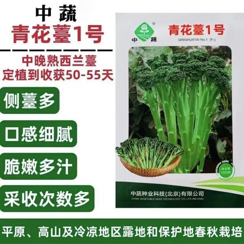 【力禾种苗】吉祥西兰苔种子西兰花芦笋青花菜芥兰基地优选蔬