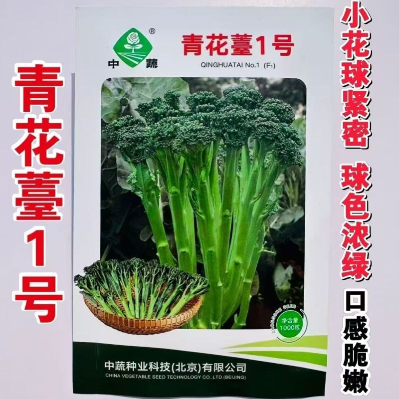 【力禾种苗】吉祥西兰苔种子西兰花芦笋青花菜芥兰基地优选蔬