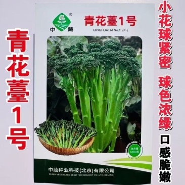 青花薹1号中晚熟西兰苔种子杂交青花菜种籽口感脆嫩春秋蔬菜