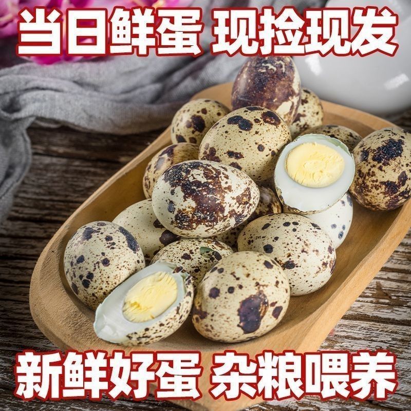 农家喂养高营养新鲜鹌鹑蛋宝宝辅食批发***蛋中小人参散养