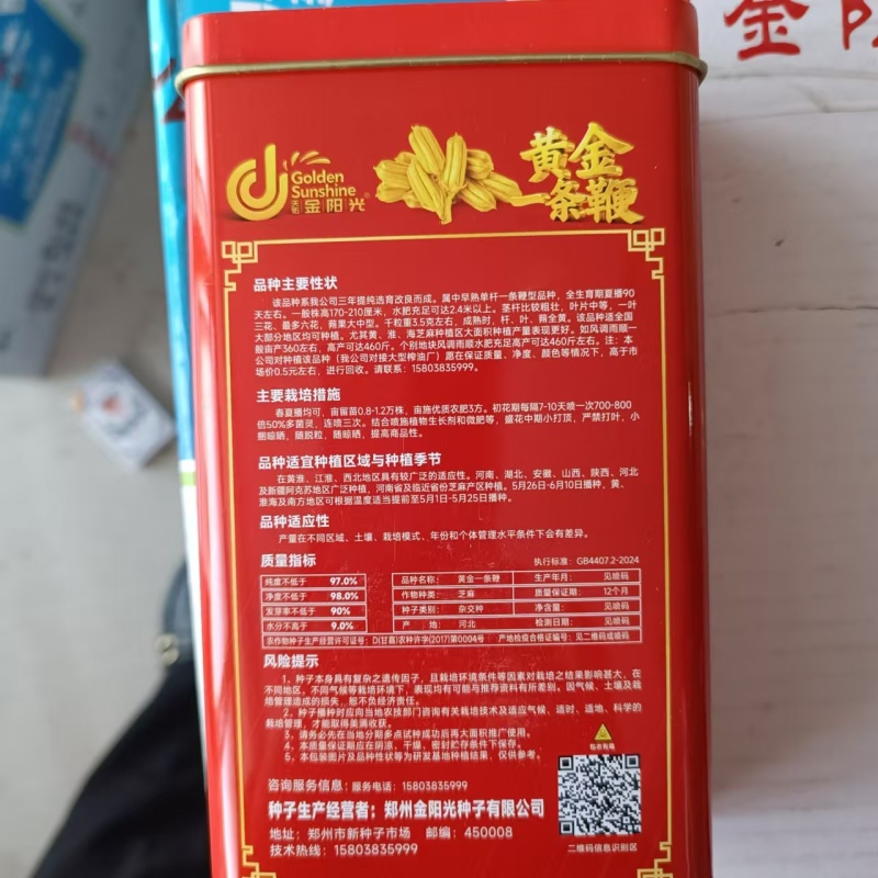 黄金一条鞭芝麻种子黄杆黄蒴白芝麻种子杂交丰产夏播芝麻种子