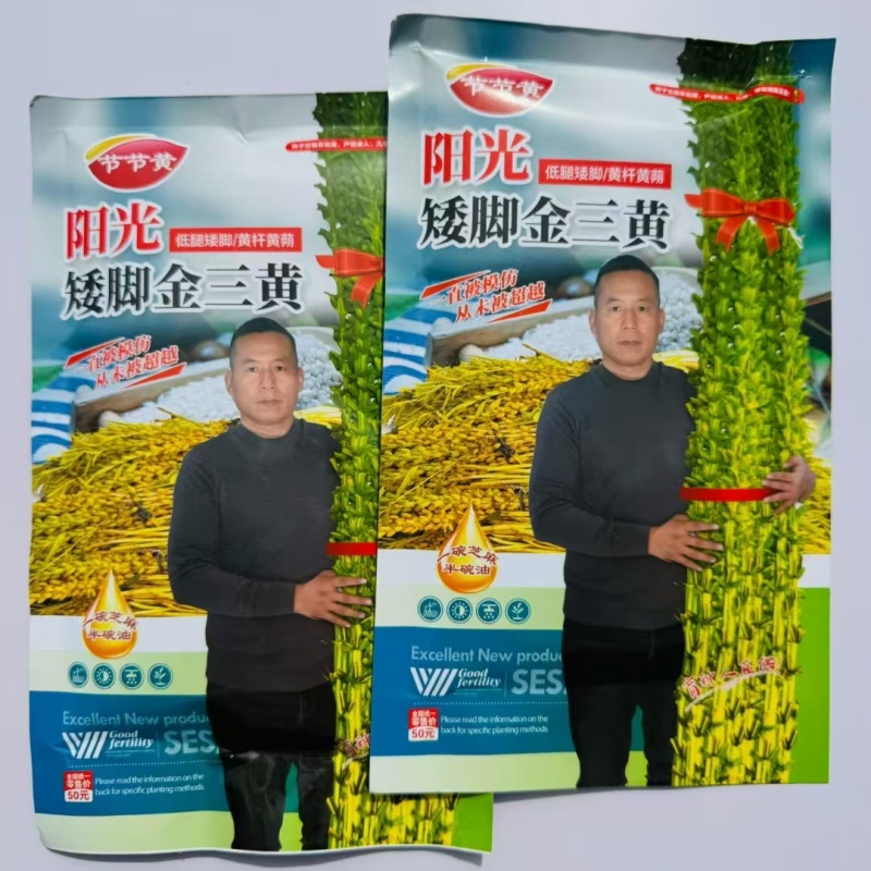 黄金一条鞭芝麻种子黄杆黄蒴白芝麻种子杂交丰产夏播芝麻种子