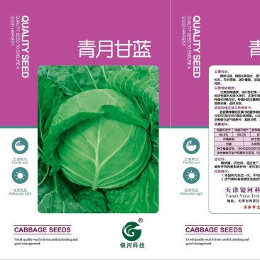 暄球松软型甘蓝种子黄芯耐裂包菜种籽水果甘蓝卷心菜洋白菜种孑