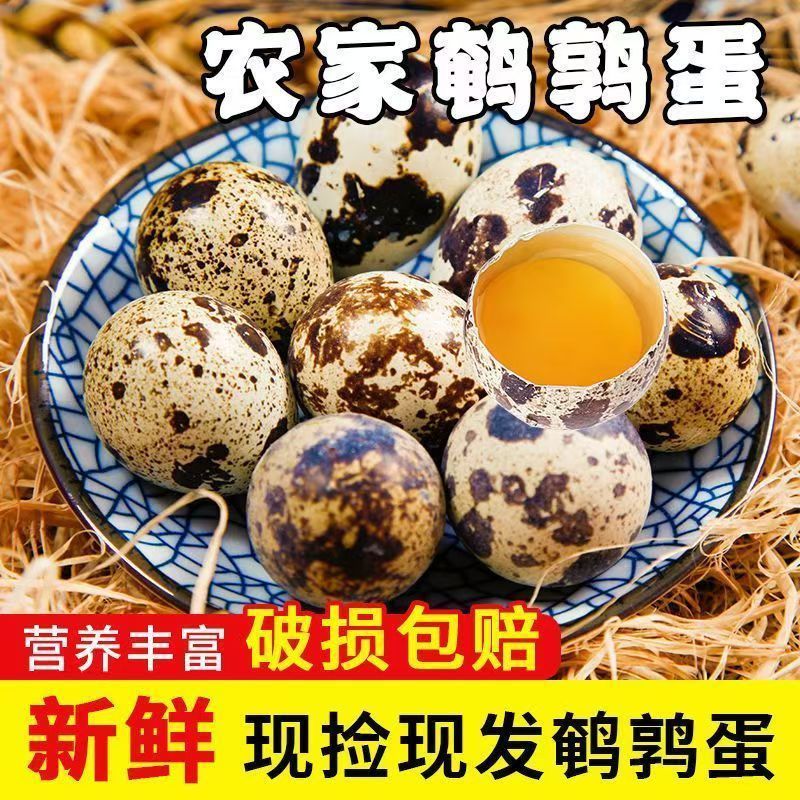 新鲜农家散养鹌鹑蛋型号70枚新鲜营养