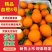 精品血橙8号