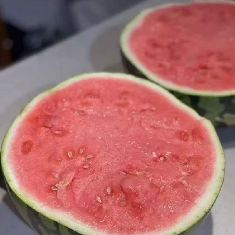 河南麒麟西瓜无籽美都，一手货源，量大从优，全国发货