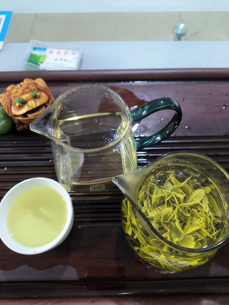 日照绿茶2026春茶头采通货，豌豆香产地直供全国发货
