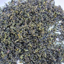 日照绿茶2026春茶头采通货，豌豆香产地直供全国发货
