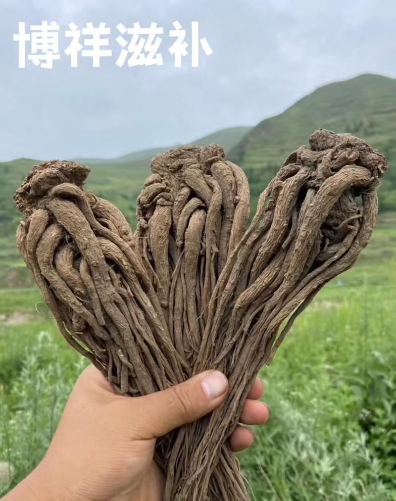 岷县产地当归，无硫熏，自然晾晒