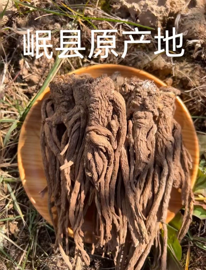 岷县产地当归，无硫熏，自然晾晒