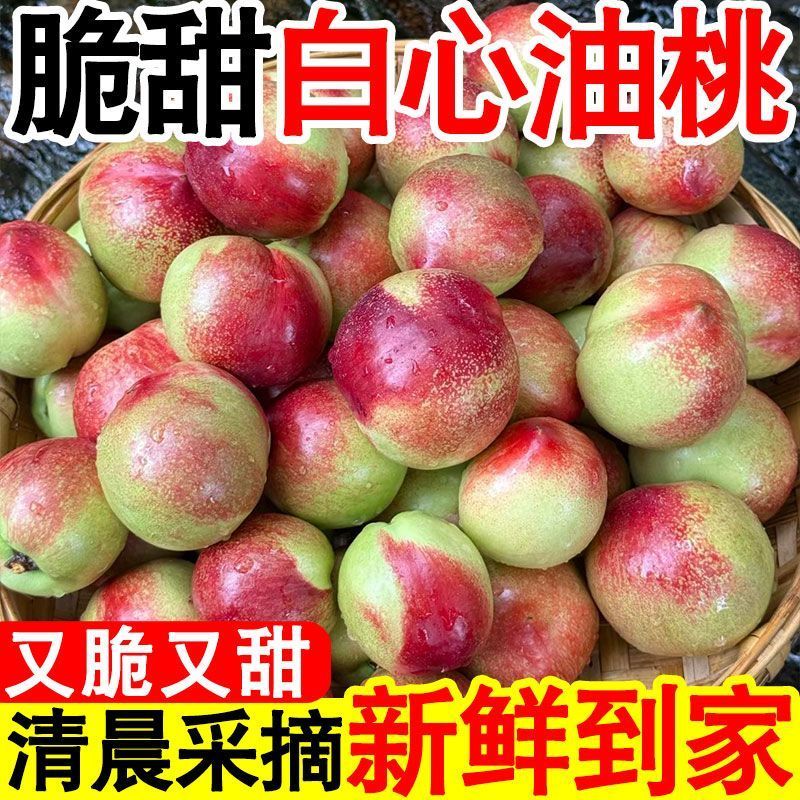 湖北油桃，金锁，中油13白心桃。突围，大量有货