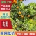 四川血橙8号