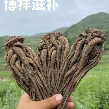 岷县产地当归，无硫熏，自然晾晒