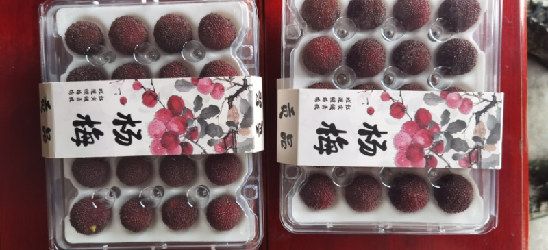【好评超多】马涧大棚杨梅，酸甜可口，产地直发，现采现发
