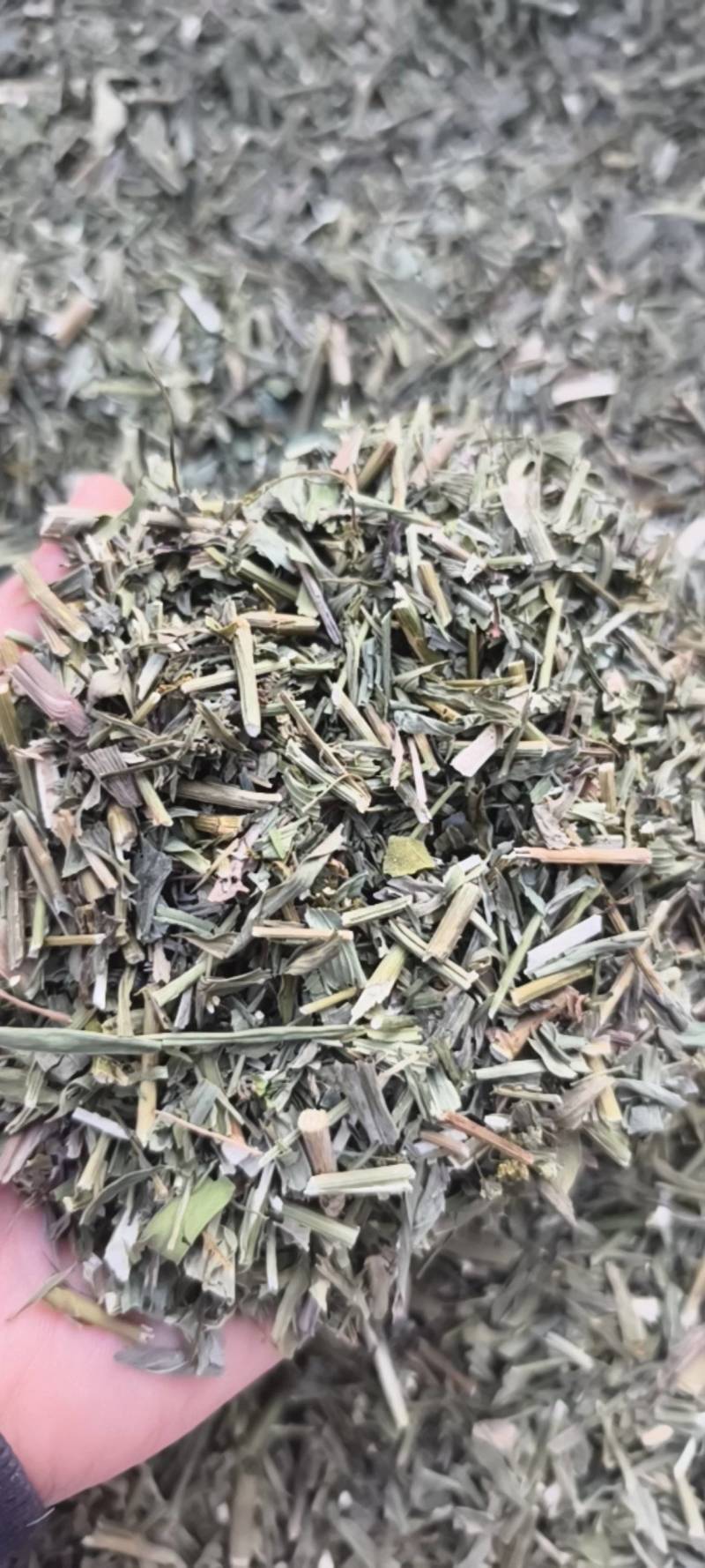 柴胡今年新货颜色好地道药材紫轩堂药业