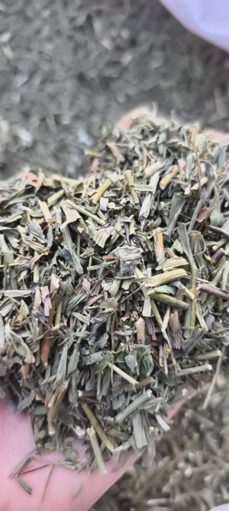 柴胡今年新货颜色好地道药材紫轩堂药业
