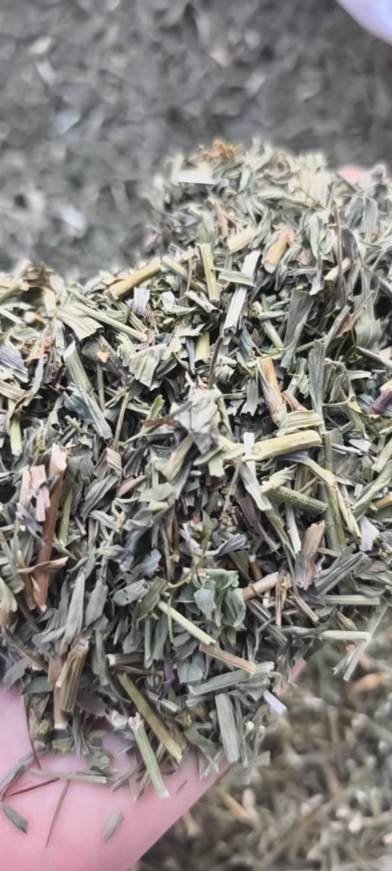 柴胡今年新货颜色好地道药材紫轩堂药业