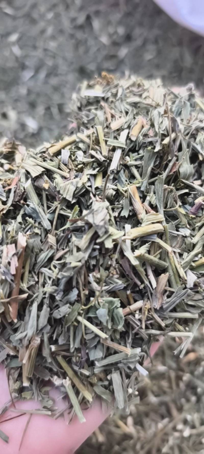 柴胡今年新货颜色好地道药材紫轩堂药业