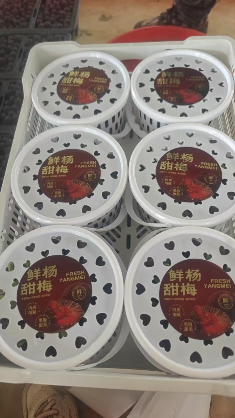 云南石屏杨梅大量接单产地直发量大从优欢迎来电