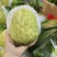 大目释迦果[顺丰包邮]新鲜释迦果林檎番荔枝佛头果