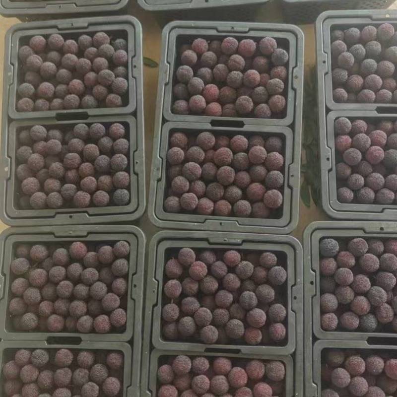 云南石屏杨梅大量上市货源充足保质保量欢迎来电