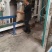 新豆上市精选供应拒绝次果，全国可发欢迎来电咨询