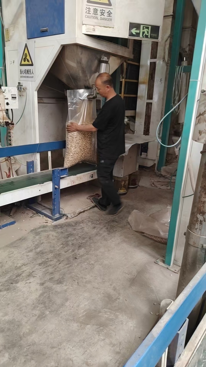 新豆上市精选供应拒绝次果，全国可发欢迎来电咨询