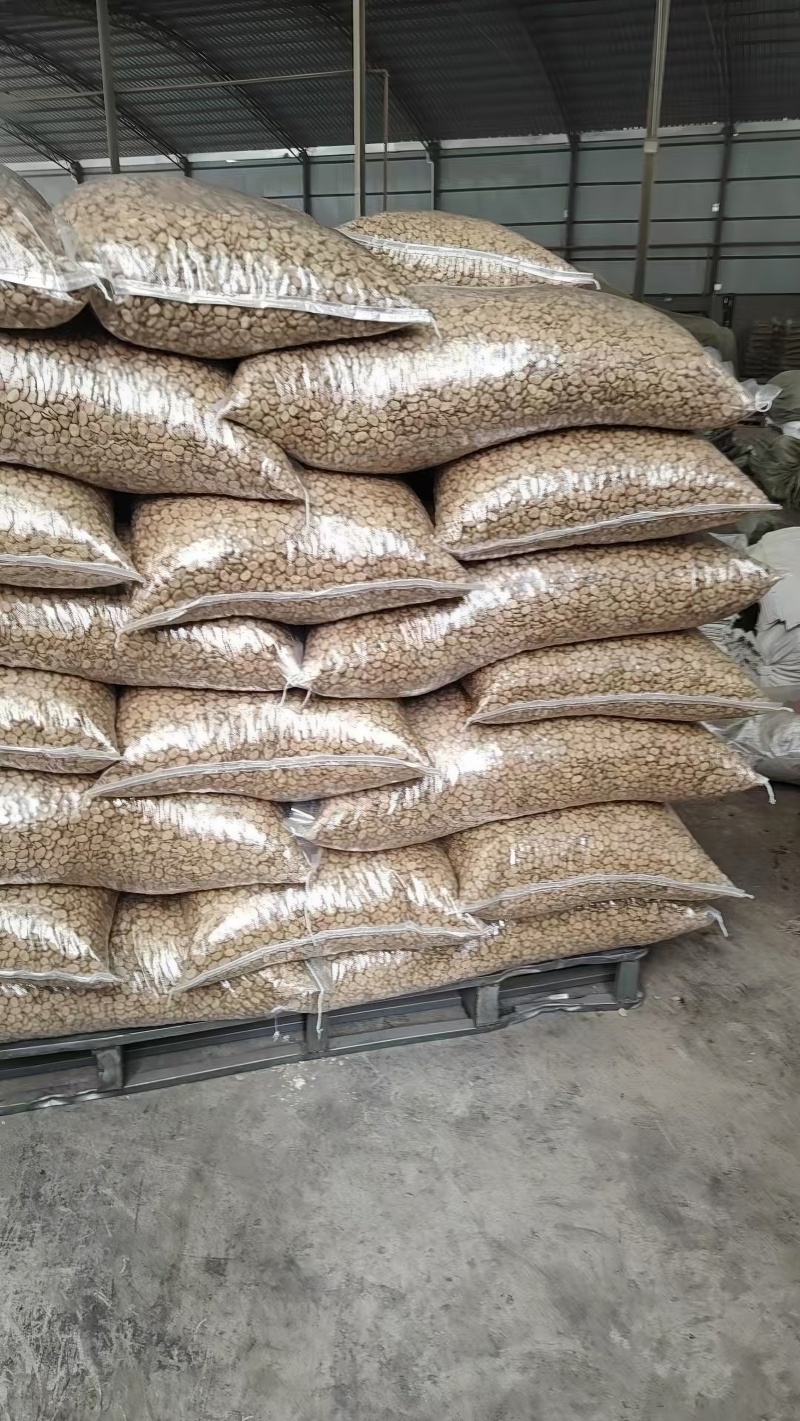 新豆上市精选供应拒绝次果，全国可发欢迎来电咨询