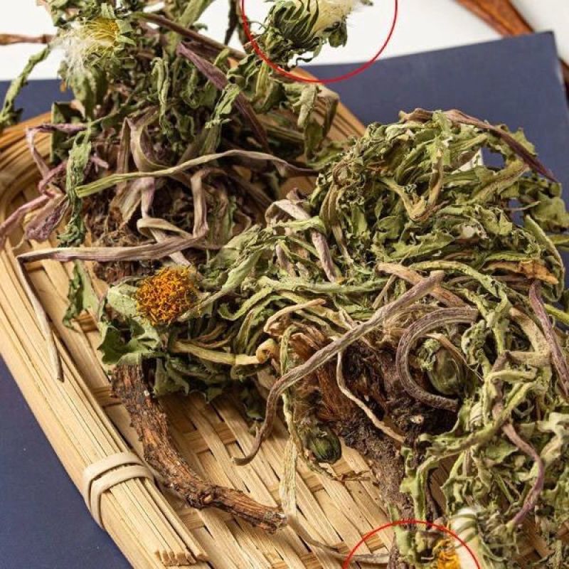 野生蒲公英天然整棵带根带花晒干的蒲公英茶婆婆丁新货