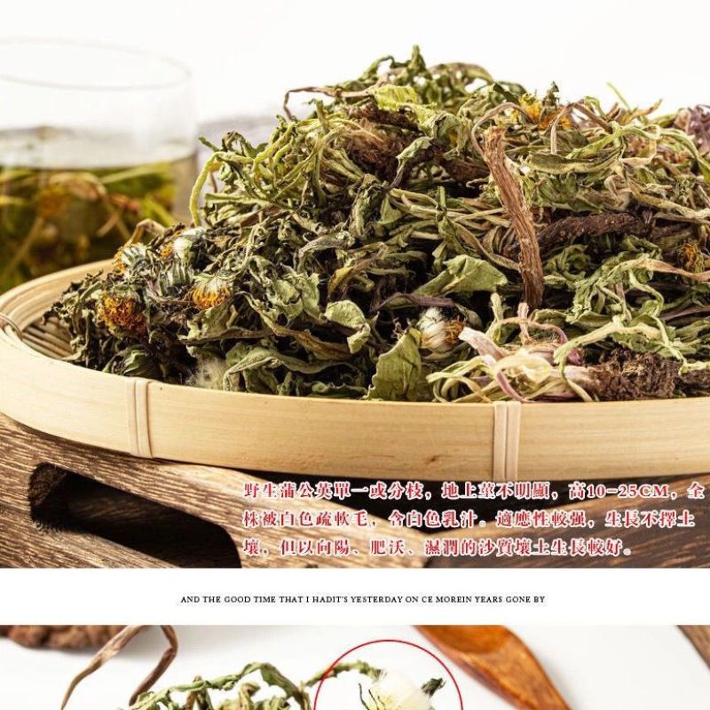 野生蒲公英天然整棵带根带花晒干的蒲公英茶婆婆丁新货