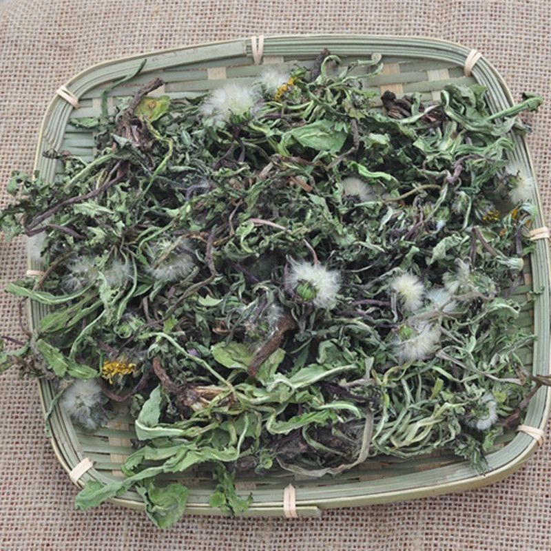 野生蒲公英天然整棵带根带花晒干的蒲公英茶婆婆丁新货