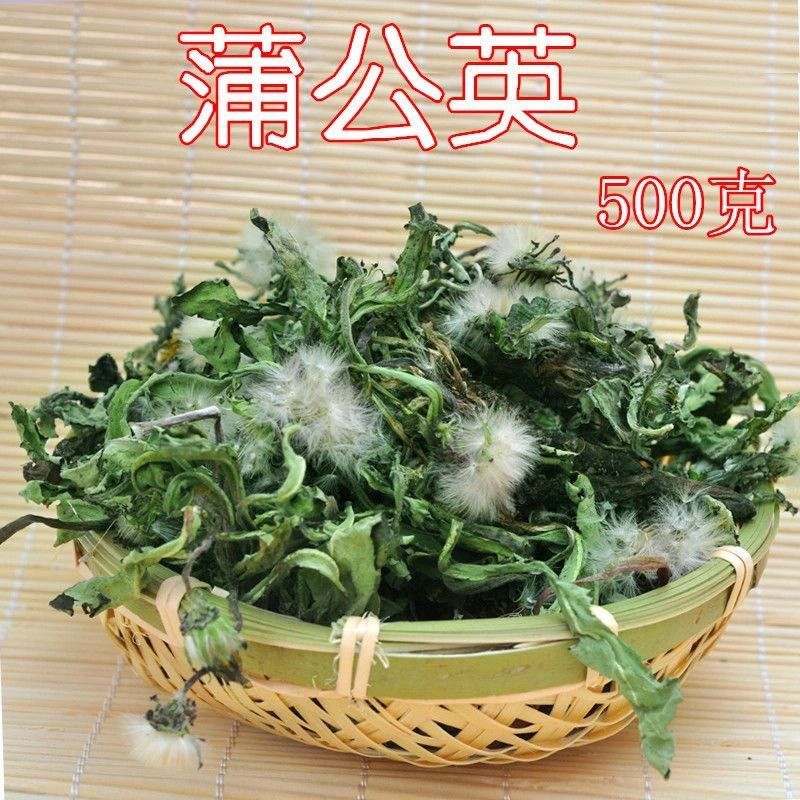 野生蒲公英天然整棵带根带花晒干的蒲公英茶婆婆丁新货