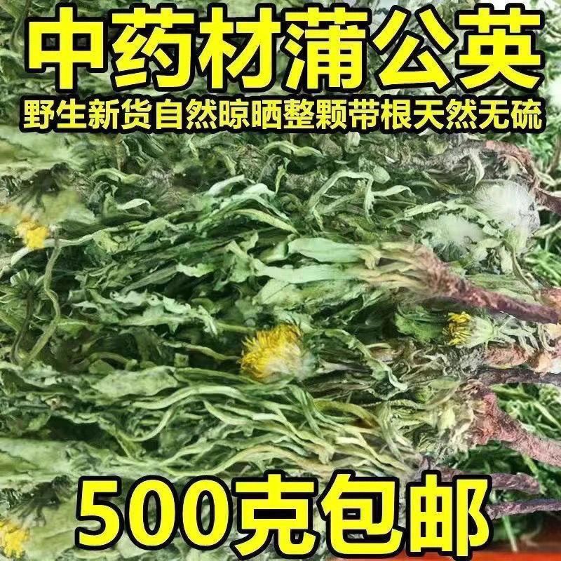 野生蒲公英天然整棵带根带花晒干的蒲公英茶婆婆丁新货
