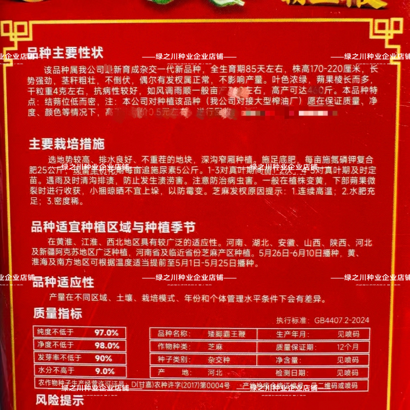 矮脚霸王鞭芝麻种子原种低腿黄杆黄蒴白芝麻种子高产抗病芝麻