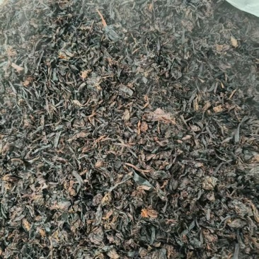 浙江慈溪梅干菜三蒸三晒全干精品可以做梅菜扣肉饼包子