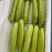 奶油黄瓜、草莓柿子