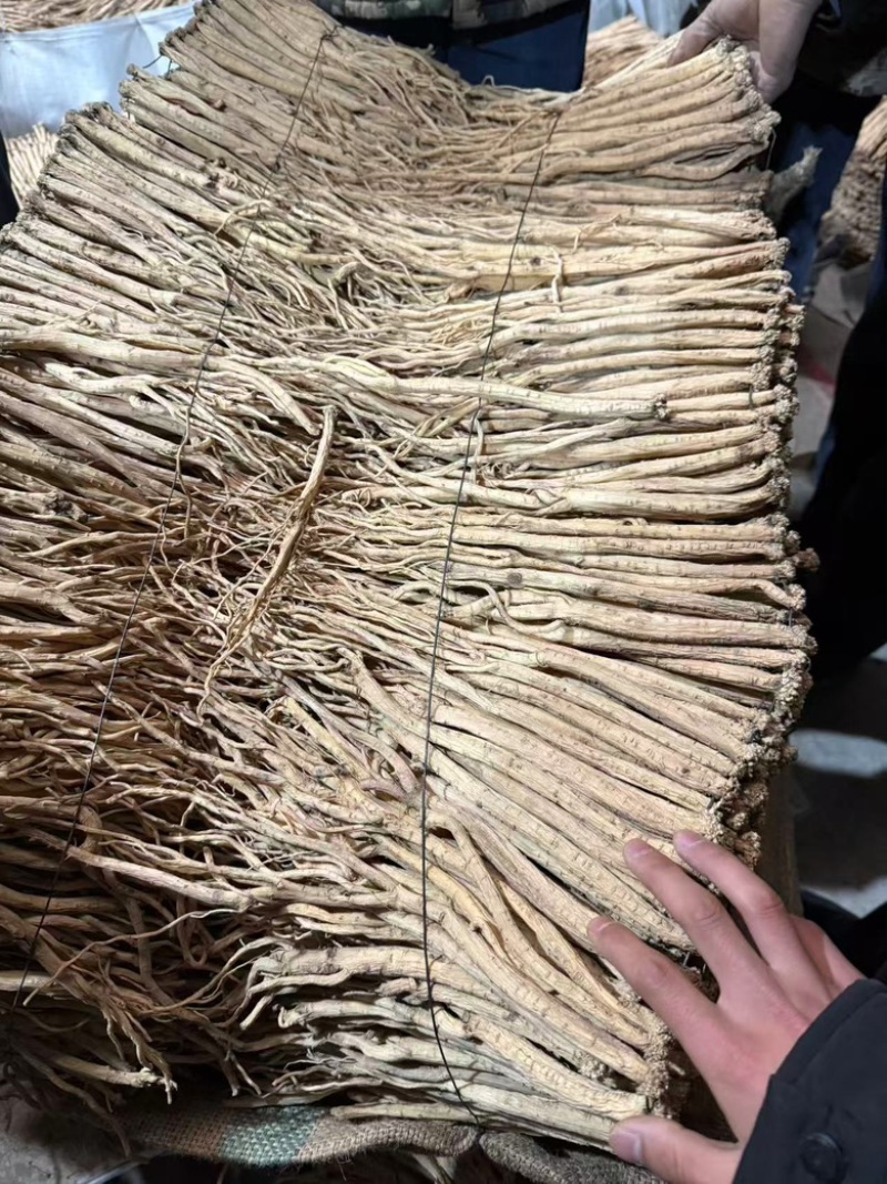 精品白条党参，产地甘肃陇西。无硫熏。大量供应一手货源。