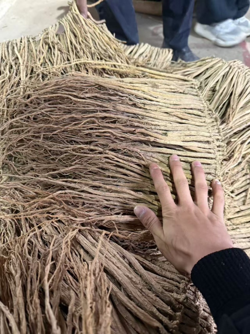 精品白条党参，产地甘肃陇西。无硫熏。大量供应一手货源。