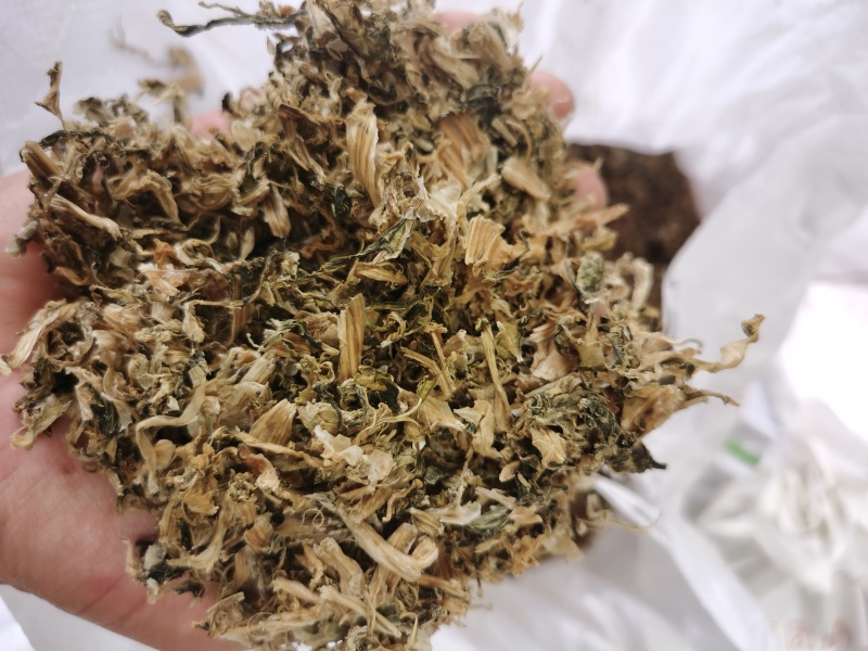 雪里红梅干菜